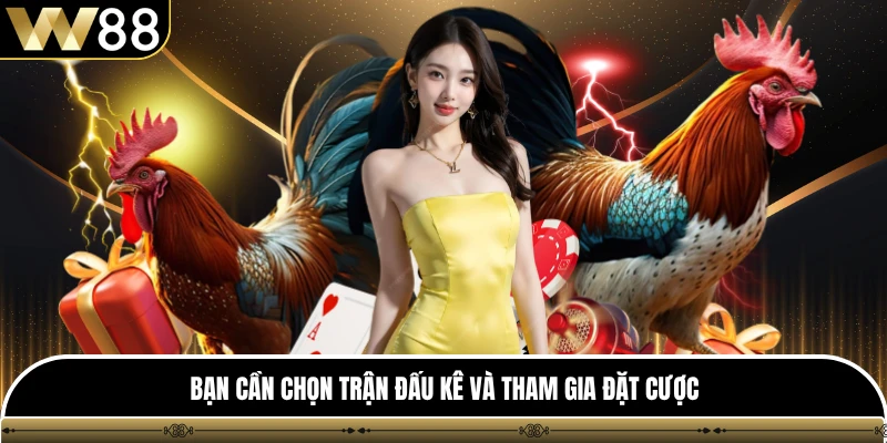 Bạn cần chọn trận đấu kê và tham gia đặt cược