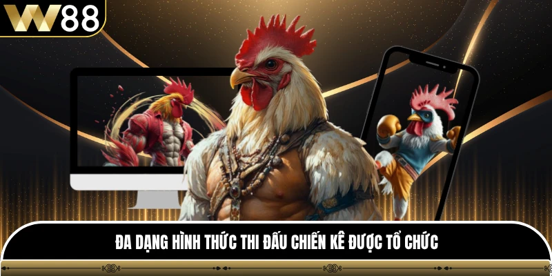 Đa dạng hình thức thi đấu chiến kê được tổ chức