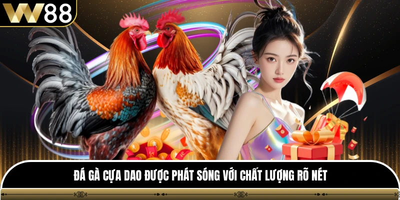 Đá gà cựa dao được phát sóng với chất lượng rõ nét
