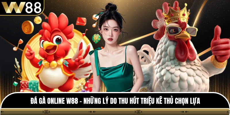Đá Gà Online W88 - Những Lý Do Thu Hút Triệu Kê Thủ Chọn Lựa
