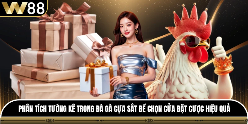 Phân tích tướng kê trong đá gà cựa sắt để chọn cửa đặt cược hiệu quả