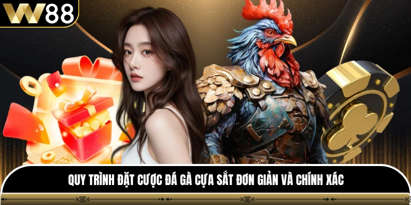Quy trình đặt cược đá gà cựa sắt đơn giản và chính xác