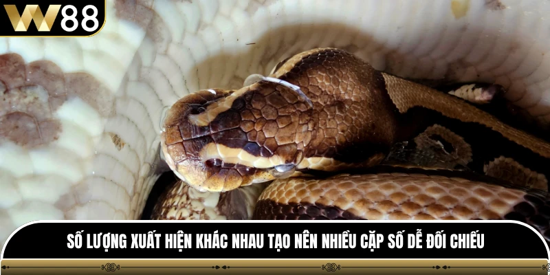 Số lượng xuất hiện khác nhau tạo nên nhiều cặp số dễ đối chiếu